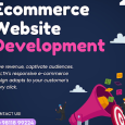 Ecommerce Web Development Company in Noida