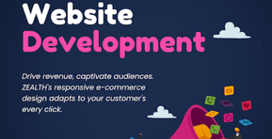 Ecommerce Web Development Company in Noida