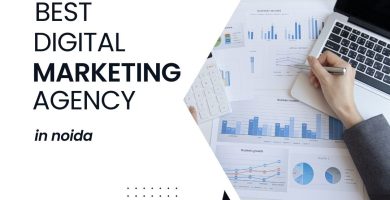 digital marketing company in noida